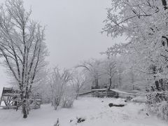 -中旅松花湖滑雪场