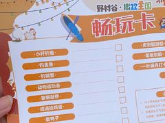 -黄陂区野村谷景区
