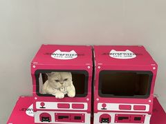 -静宜和她的朋友(星海广场店)
