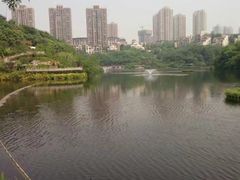 -重庆彩云湖湿地公园