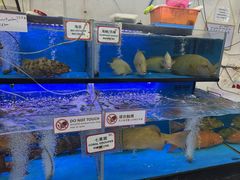 -双天海鲜楼 · 43年老字号