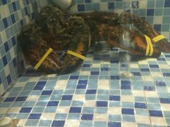 -船奇蒸汽海鲜·闽菜(八市海鲜总店)