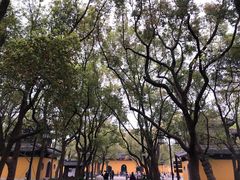 -西园戒幢律寺