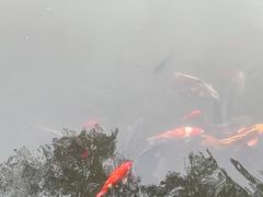 -黔灵山公园