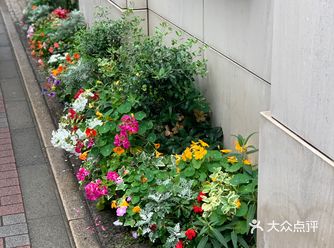 晚上附近有家营业到半夜4点的夜宵居酒屋