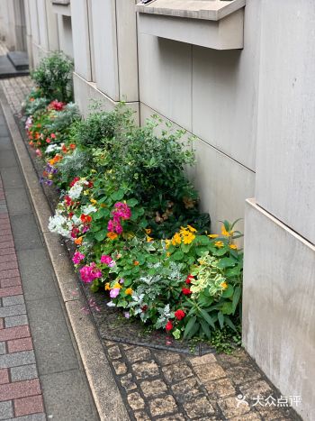 晚上附近有家营业到半夜4点的夜宵居酒屋