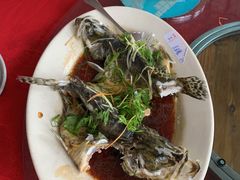 -水上人家河鲜