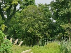 -临平南高铁站(地铁站)