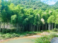 -水墨汀溪风景区