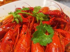 -海底捞火锅(金鼎广场店)