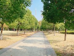 -潜龙渠公园