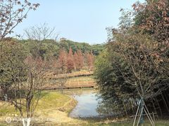 -凤凰沟景区
