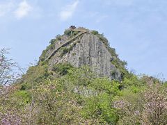 -南宁花花大世界景区