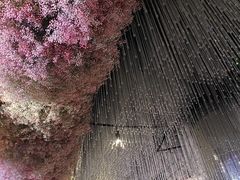 -家缘大酒店(新天地不夜城店)