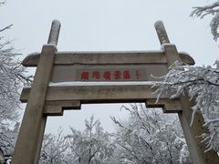 -紫金山山顶公园