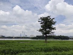 -寿司郎(北京路粤潮楼店)
