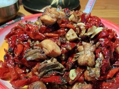 -柴窝堡22号辣子鸡·传承新疆菜