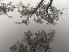 -庐山风景区花径公园