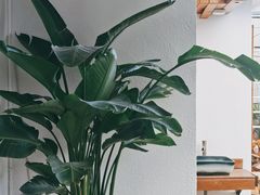 -阿鹏故事云南野生菌火锅(人民路店)