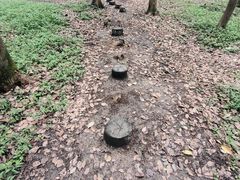 -同里国家湿地公园