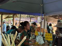 -西双版纳傣族园