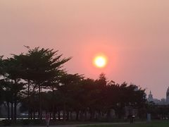 -万绿园