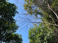-广州市白云山风景名胜区