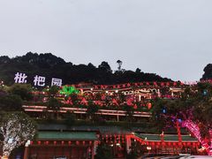 -枇杷园食为鲜火锅(南山店)
