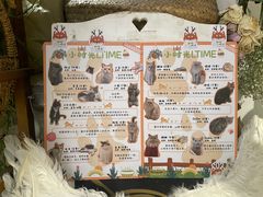 -小时光咖啡馆(北锣鼓巷店)