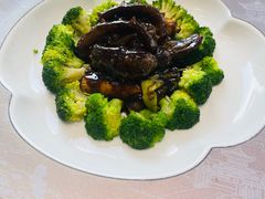 -大连湾旭日·家宴·海肠捞饭(马栏广场店)