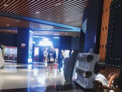 -SFC上影百联影城(川沙IMAX店)