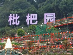 -枇杷园食为鲜火锅(南山店)