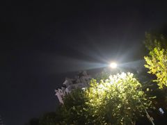 -东方夏威夷