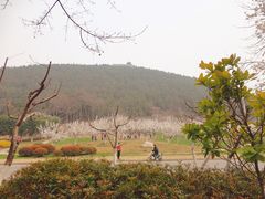 -云龙湖旅游景区