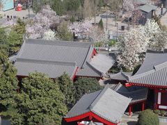 -大慈恩寺(大雁塔)