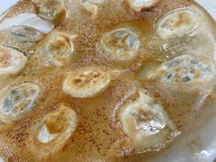 -福园东北菜饺子铁锅炖