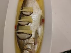 清蒸鸡汁白鱼-宁夏国强手抓羊肉·清真菜(未央路凤三店)
