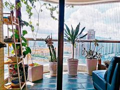 -乐尚音乐空间·钢琴·声乐·架子鼓(会展中心店)