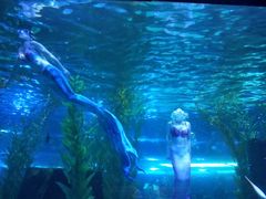 -皇家极地海洋世界-售票处