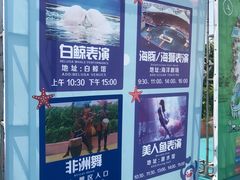 -秦皇岛乐岛海洋王国