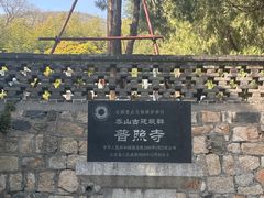 -泰山风景名胜区-普照寺