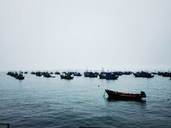 -海源公园