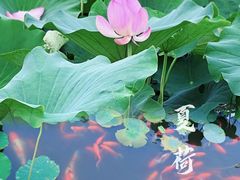 -西海子公园