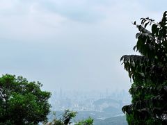 -梧桐山风景名胜区