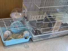 -红黄蓝成长中心(海淀上地店)