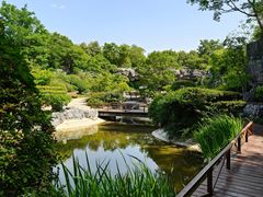 -吴淞炮台湾湿地森林公园烧烤区