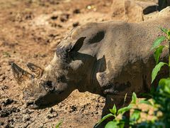 -沈阳森林动物园