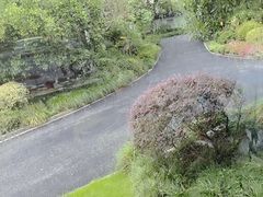 -浙江西子宾馆·瑶园咖啡厅