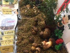-福照楼汽锅鸡·云南菜(护国路店)