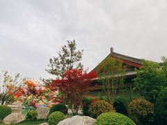 -唐御宴•御宴宫•唐代菜点(芙蓉西路店)